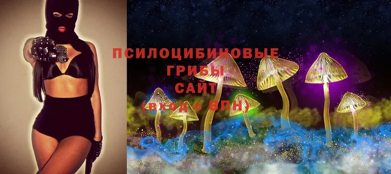 Псилоцибиновые грибы Cubensis  как найти закладки  Емва 